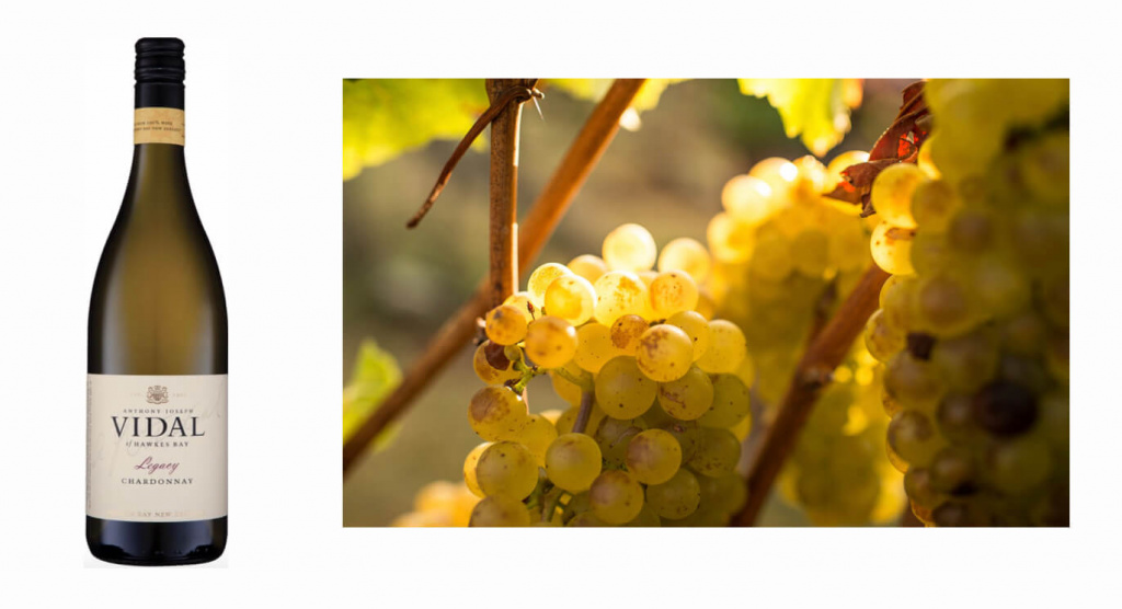 Vidal Chardonnay.jpg Vidal Chardonnay.jpg